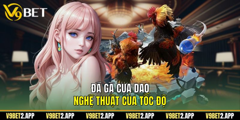 Đá Gà Cựa Dao - Nghệ Thuật Của Tốc Độ 