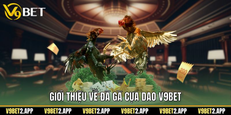 Giới thiệu về đá gà cựa dao V9BET