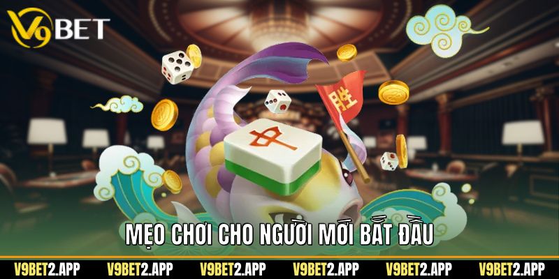 Mẹo chơi cho người mới bắt đầu